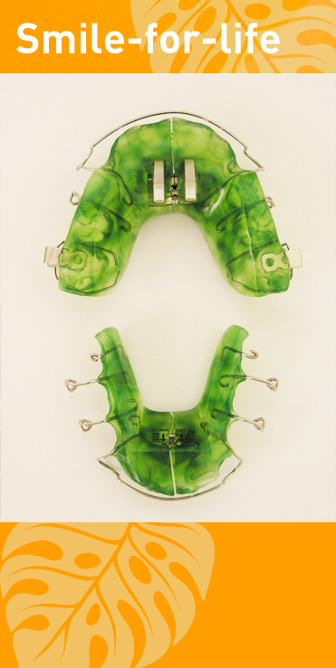 doppelvorschubplatte